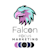 Focus Media