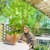 MANAHIL