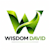 Wisdom David