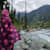 Faiqa