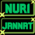 Nuri Jannat