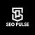 Seo Pulse