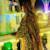 Nida Fatima