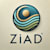 Zizojodix
