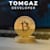 Tommy gaze