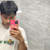 PHERON