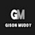Gison M