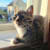 Kevin