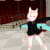 game_wiliam