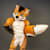 Fursuit M