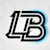 Lisaa