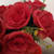 M Noor