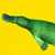 domestcplatypus