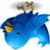 twitter__top