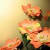 artdesignlover