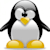kevin_d