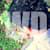 widedesigner
