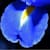 harmonius_petal