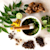 almighty_herbs