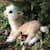 socialmediadoc