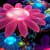 fahad_jamal