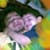 waaji_619