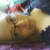 nerdytransgeeky