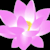 lotusmuse