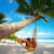 miami_seo
