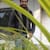 fanoor777