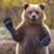 grizzly_studio