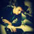 Adeel Younas