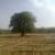 Laksh