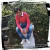 Tushar J