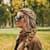 Selin