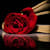 humairayasmeen