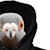 thehoodedpigeon