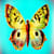 designrr