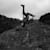 matthewdowney20