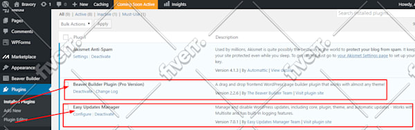 Big worksample image