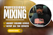 do professional mixing and mastering of your song