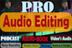 edit mix and master podcasts audiobooks and remove audio noise