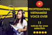 record  professional vietnamese voice over
