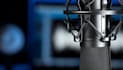 do professional voice over in neutral and american english