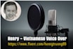 record vietnamese male voice over
