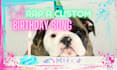 write and rap a happy birthday song for you