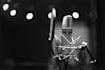 record a professional danish male voice over