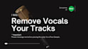 remove vocals from any song or link under 24 hours