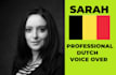record your professional dutch flemish vlaamse voice over