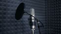 voice neutral caribbean voice overs